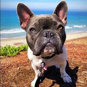 Meet your Posher, Ninicole